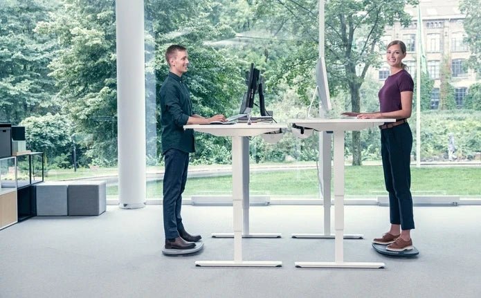 Backapp 360 tasapainolauta - Suomen Kalustekeskus