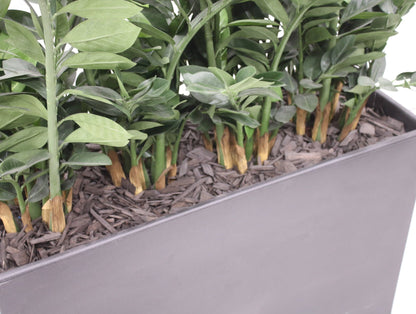 Pedrali Kado - tekokasvi - Suomen Kalustekeskus