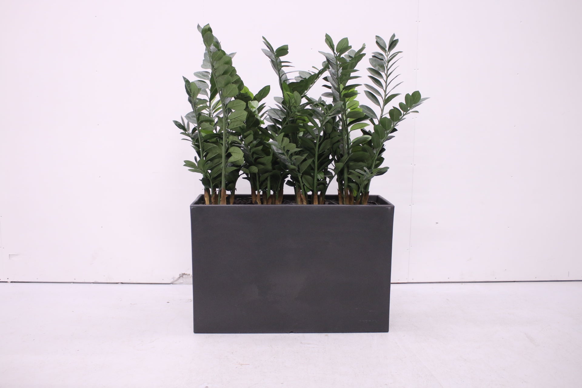 Pedrali Kado - tekokasvi - Suomen Kalustekeskus