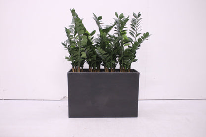 Pedrali Kado - tekokasvi - Suomen Kalustekeskus