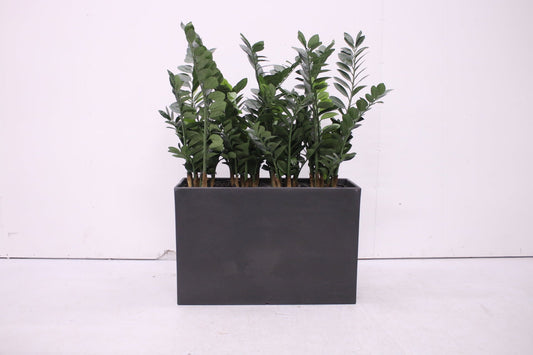 Pedrali Kado - tekokasvi - Suomen Kalustekeskus